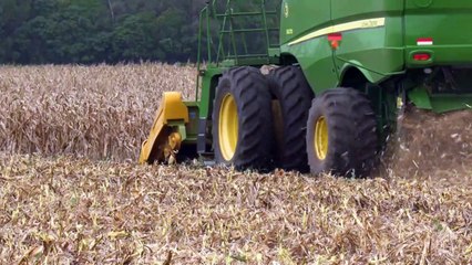 Argentina enfrenta pérdidas millonarias en el campo por su peor sequía