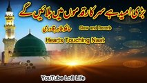 Bari Umeed hai sarkar qadmoon main bulaien ge | Hafiz Tahir Qadri |Heart Naat l | slow and Reverb | YouTube Lofi Life