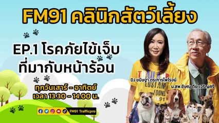 โรคภัยไข้เจ็บ ที่มากับหน้าร้อน EP.1 : FM91 คลินิกสัตว์เลี้ยง : 8 เมษายน 2566