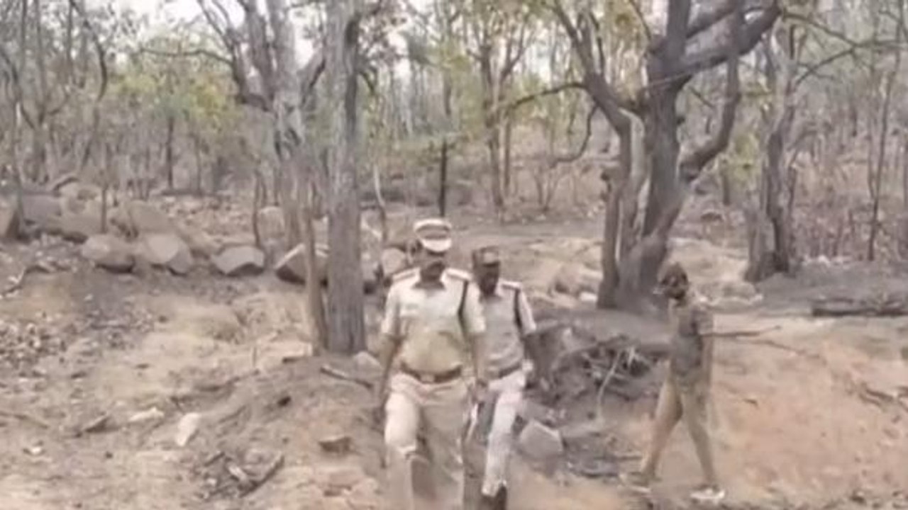 నిజామాబాద్ రూరల్: జిల్లాలో చిరుత సంచారం కలకలం..!