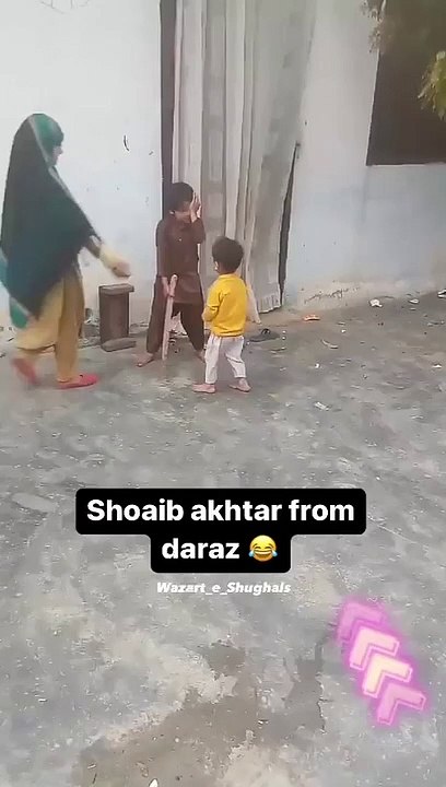 Funny videos