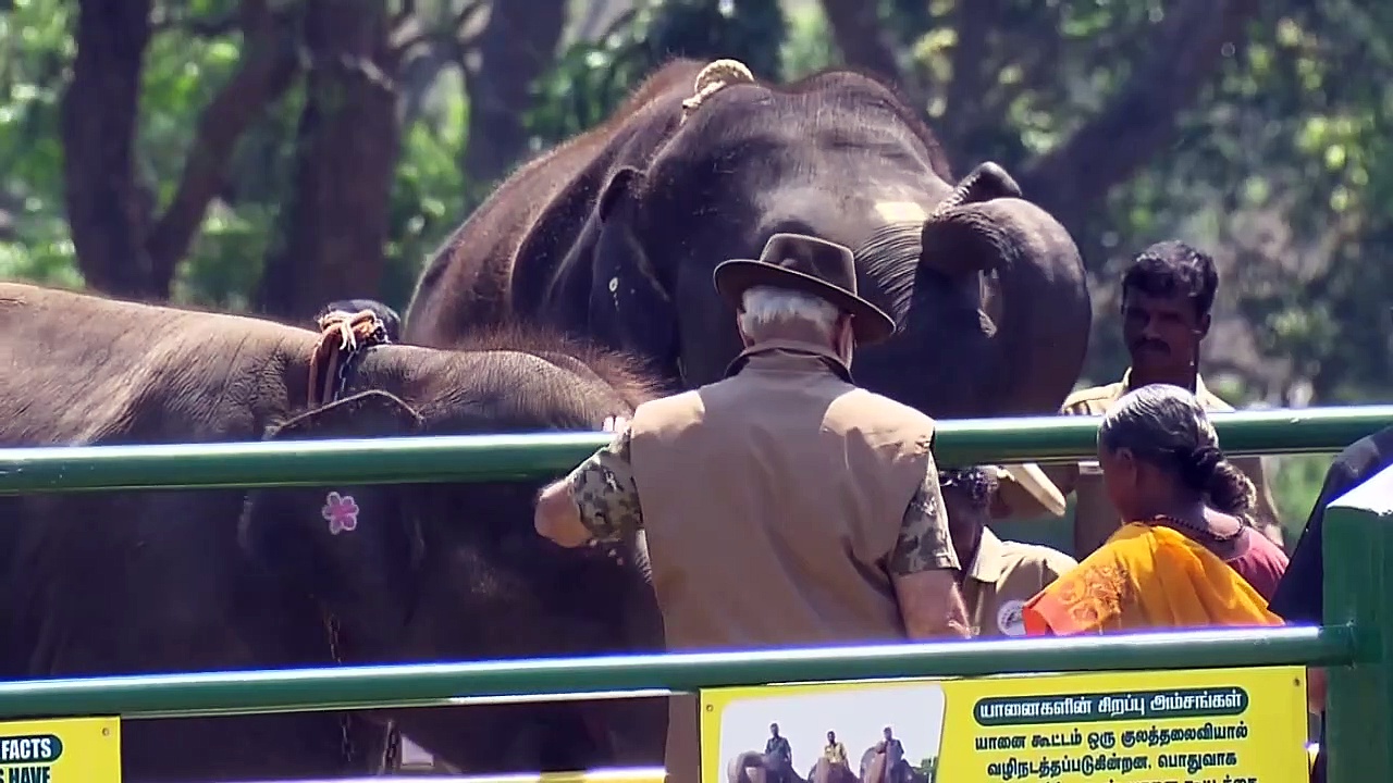 Watch : ‘ஆஸ்கர் ஜோடி’ பொம்மன் - பெல்லியை நேரில் சந்தித்த பிரதமர் மோடி