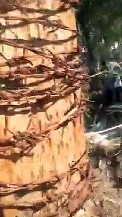 पर्यावरण प्रेमियों ने डॉ. अम्बेडकर पार्क में चल...