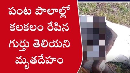 కోటబొమ్మాళి: పంటపొలాల్లో గుర్తు తెలియని మృతదేహం కలకలం