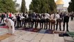 فيديو: بحماية من الشرطة الإسرائيلية.. مستوطنون يقتحمون باحات المسجد الأقصى
