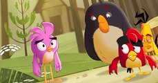 Angry Birds: Summer Madness Angry Birds: Summer Madness S02 E012