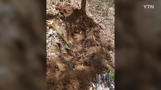 서울 노원구 아파트 단지 출몰 멧돼지 이틀 만에 사살 / YTN