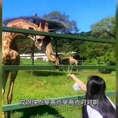 new most viral videos 2023/ new most popular comedy video 2023