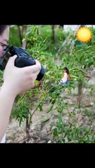 cute baby moment 2023/ most viewed videos/  most popular video of this time