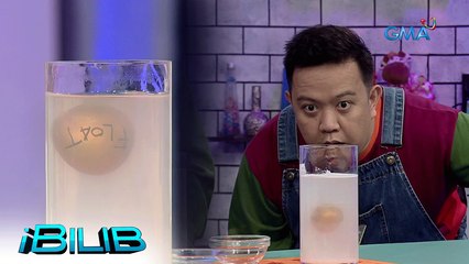 iBilib: Meet the golden obedient eggs!