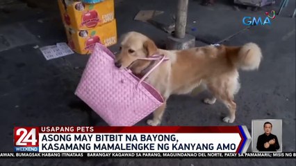 Asong may bitbit na bayong, kasamang mamalengke ng kanyang amo | 24 Oras Weekend