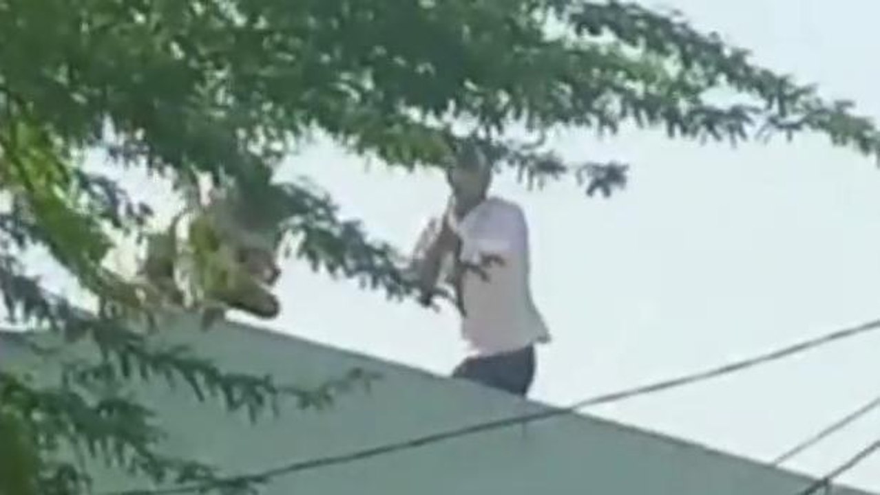 जमीन विवाद को लेकर हुआ खूनी संघर्ष, पथराव और फायरिंग का वीडियो वायरल