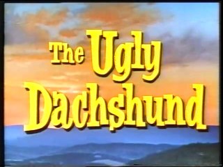 Los Perros de mi Mujer - VHS Walt Disney