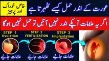 How To Become Pregnant Successfully |Ovulation Symptoms |Implantation Symptoms |Pregnancy Symptoms |How to become pregnant |ovulation discharge |Successful implantation |early pregnancy symptoms |How To Become Pregnant|   #pregnancy #howtogetpregnant