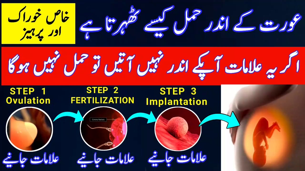How To Become Pregnant Successfully |Ovulation Symptoms |Implantation Symptoms |Pregnancy Symptoms |How to become pregnant |ovulation discharge |Successful implantation |early pregnancy symptoms |How To Become Pregnant|   #pregnancy #howtogetpregnant