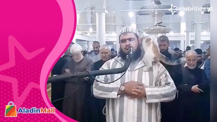 Viral Aksi Kucing Cium Pipi Imam Salat Tarawih