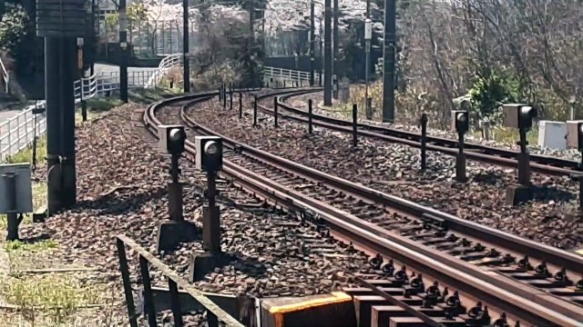 20220403_134504 その141 1744M No. 141 1744 M.