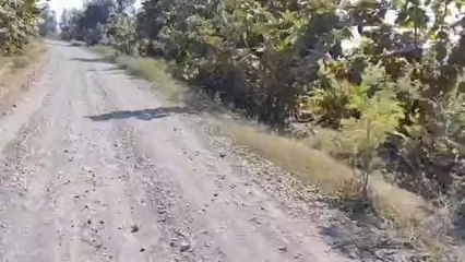 కాగజ్ నగర్: పక్క రాష్ట్రానికి వెళ్లాలంటే తప్పని అవస్థలు