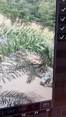 Video: दिनदहाड़े बदमाश ने युवती को मारे चाकू