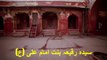 Bi Bi Pak Daman Ki Asal Kahani | بی بی پاک دامن سیدہ رقعیہ بنت امام علی علیہ السلام کی زیارت اور اصل کہانی