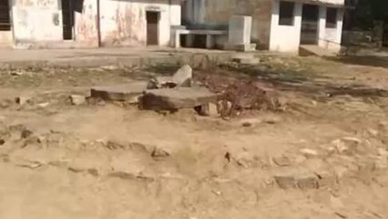 सीधी: खुले कुँए बोरवेल बावडियों को लेकर क्या है जनता की राय- देखें खास ख़बर