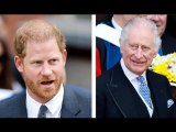 Cinq bombes tirées d'un livre royal explosif - dont la fureur du prince Harry contre Charles