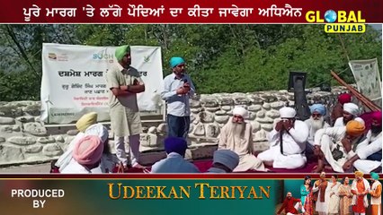 Guru Gobind Singh Road 'ਤੇ ਲੱਗੇ ਰੁੱਖ-ਬੂਟਿਆਂ ਦਾ ਹੋਵੇਗਾ ਅਧਿਐਨ | Anandpur Sahib | Global Punjab TV