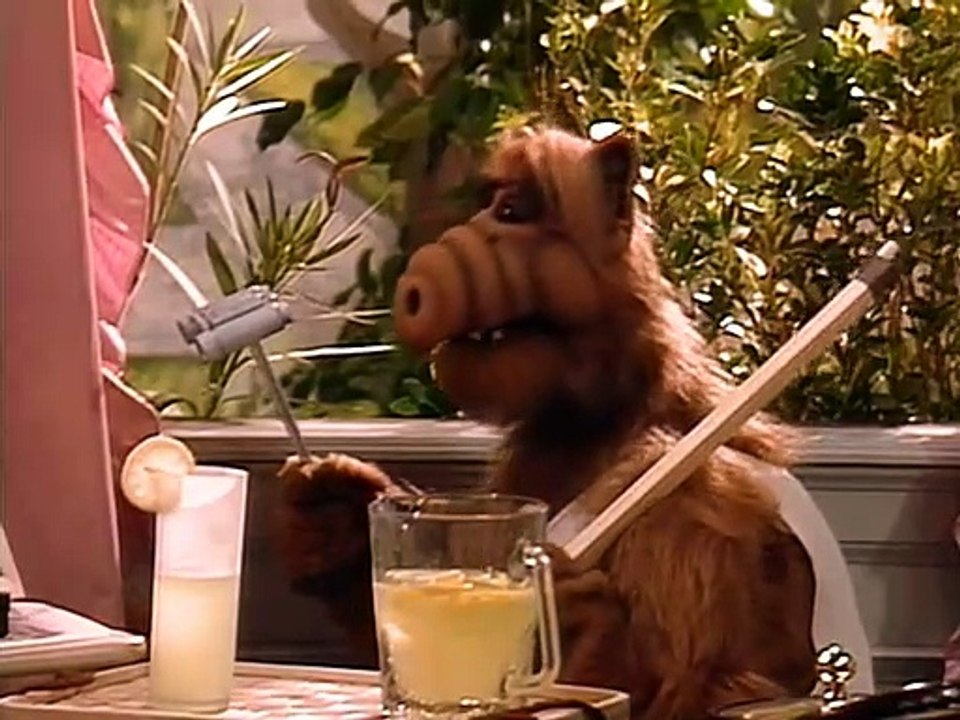 ALF S01E20-Das Fenster zum Garten