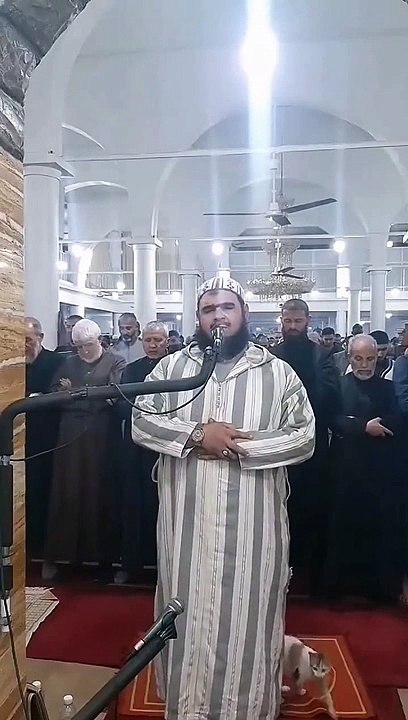 cat kisses Imam during reciting Quran