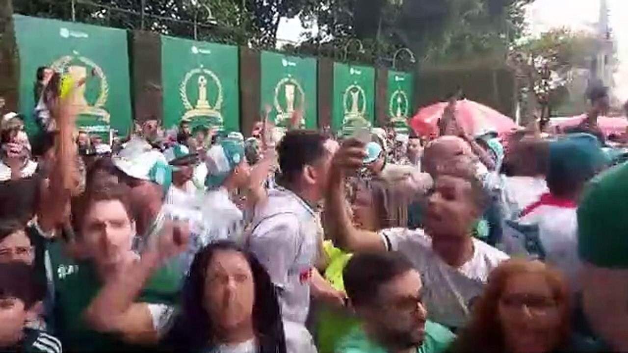 Palmeiras