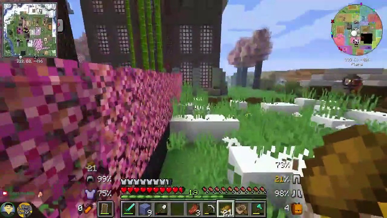 Erkundung unserer Wüste | MinYearLive 7