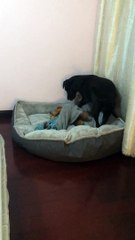 Gotta Squeeze In That Nightly Routine