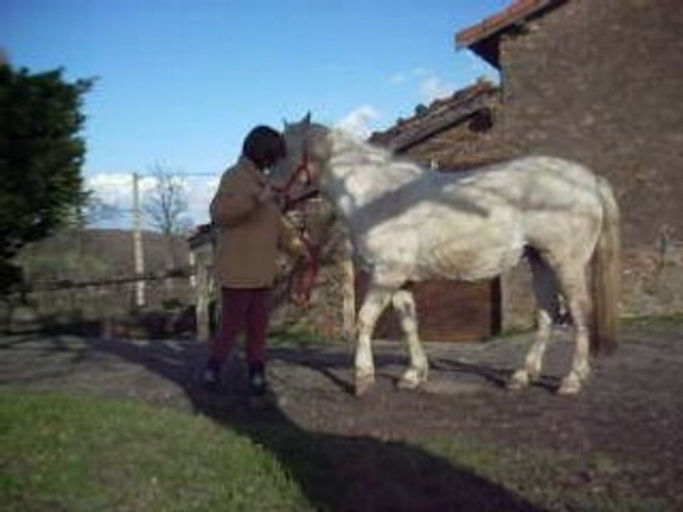 Photo 038