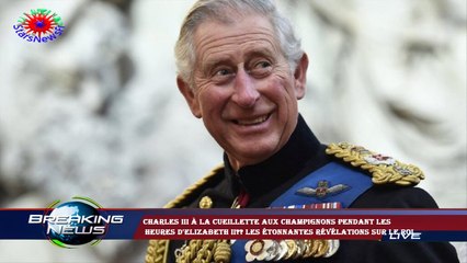 Charles III à la cueillette aux champignons pendant les  heures d'Elizabeth II?? Les étonnantes révé