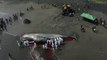 Terceira baleia morre encalhada em praia de Bali