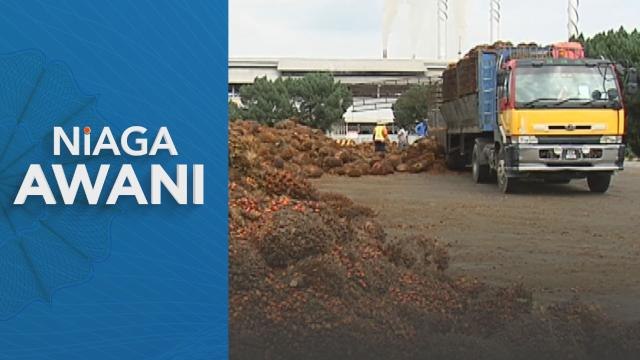 Kontrak hadapan minyak sawit mentah (MSM) dijangka tidak menentu