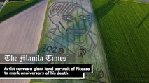 Artist carves a giant land portrait of Picasso to mark anniversary of his death