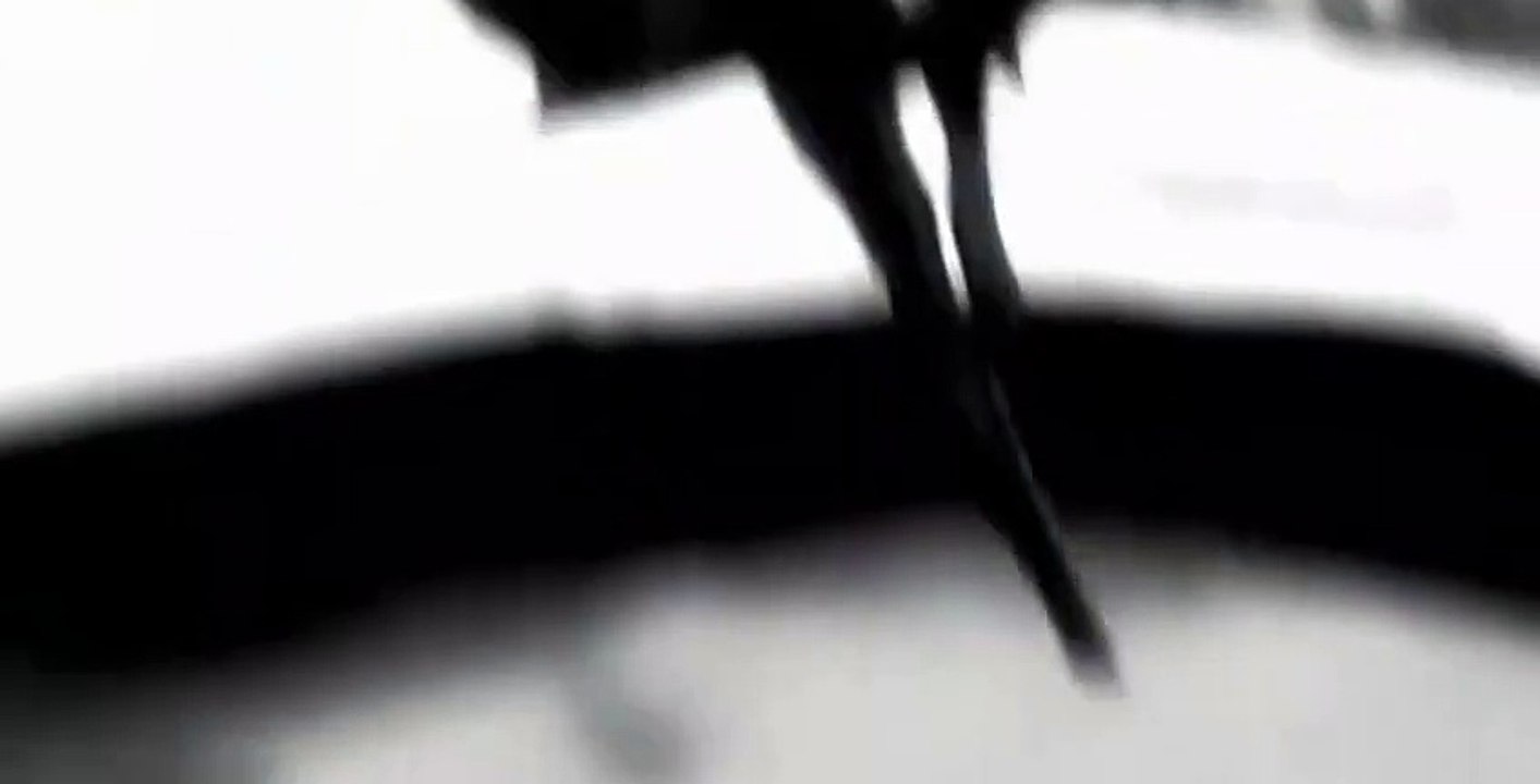 Batman Black and White Batman Black and White S01 E004 Case Study