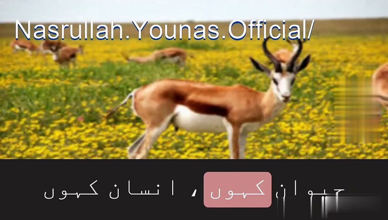 صوفیانہ کلام #amazing #urdukalam #viralvideo #viral #kalam #sufism #sufi #youtubevideo #sufianakalam_2023 04 09_20 25 09_1_904