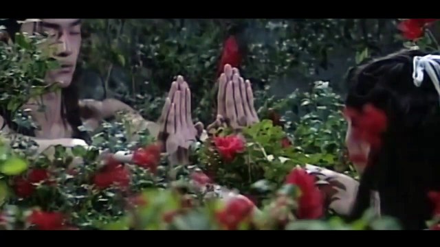 1995 The Legend of Condor Heroes Movie Trailer 1995神鵰俠侶大電影預告 神鵰俠侶 TVB版 古天樂 李若彤 傅明憲 白彪 魏秋樺 李綺紅 神雕侠侣 1995