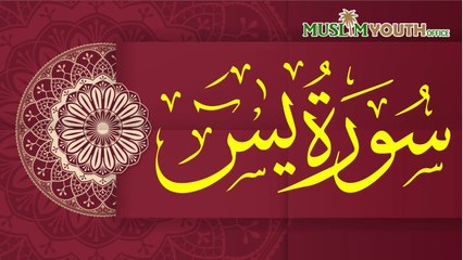 Surah Yaseen |Surah Yasin | سورۃ یس | Muslim Youth Office