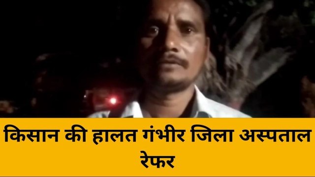 लखीमपुर खीरी: खेत में काम कर रहे किसान पर बाघ ने किया हमला,उपचार जारी