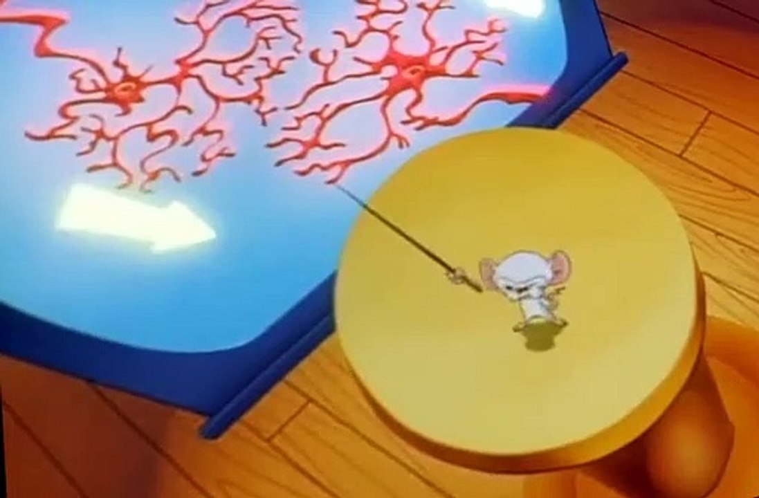 Pinky and the Brain S01 E05