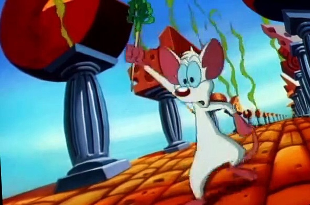 Pinky and the Brain S01 E08