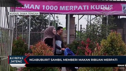 Ngabuburit Sambil Memberi Makan Ribuan Merpati