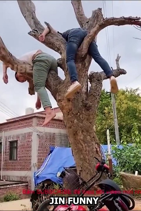29.AWW NEW FUNNY  Funny Videos #436