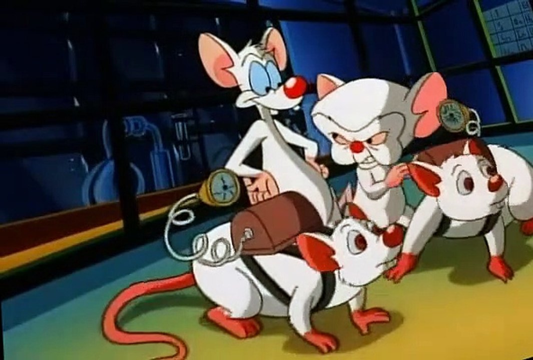 Pinky and the Brain S01 E19