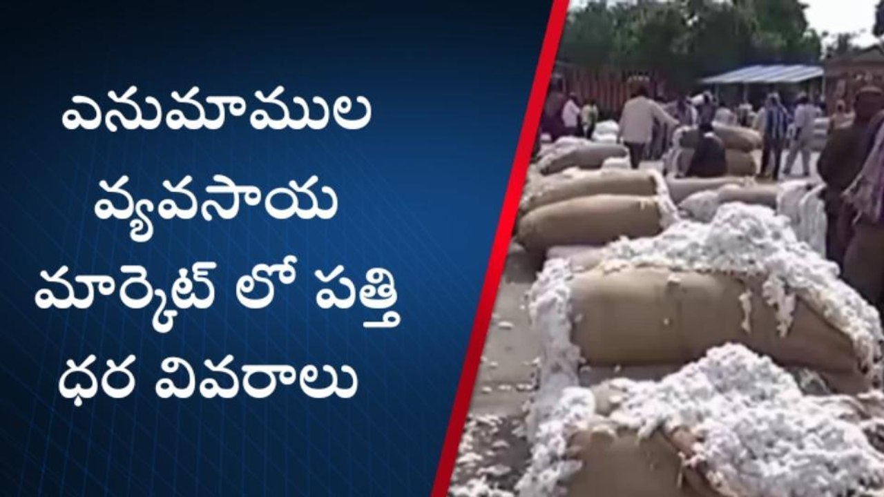 వరంగల్ ఈస్ట్: తగ్గుతున్న పత్తి ధర, రైతుల్లో ఆందోళన