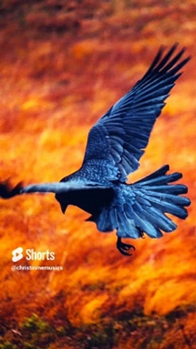 Israyelin Nadhanai