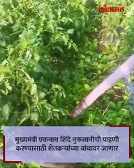 नाशिक जिल्ह्यामध्ये अवकाळी पाऊस गारपीट